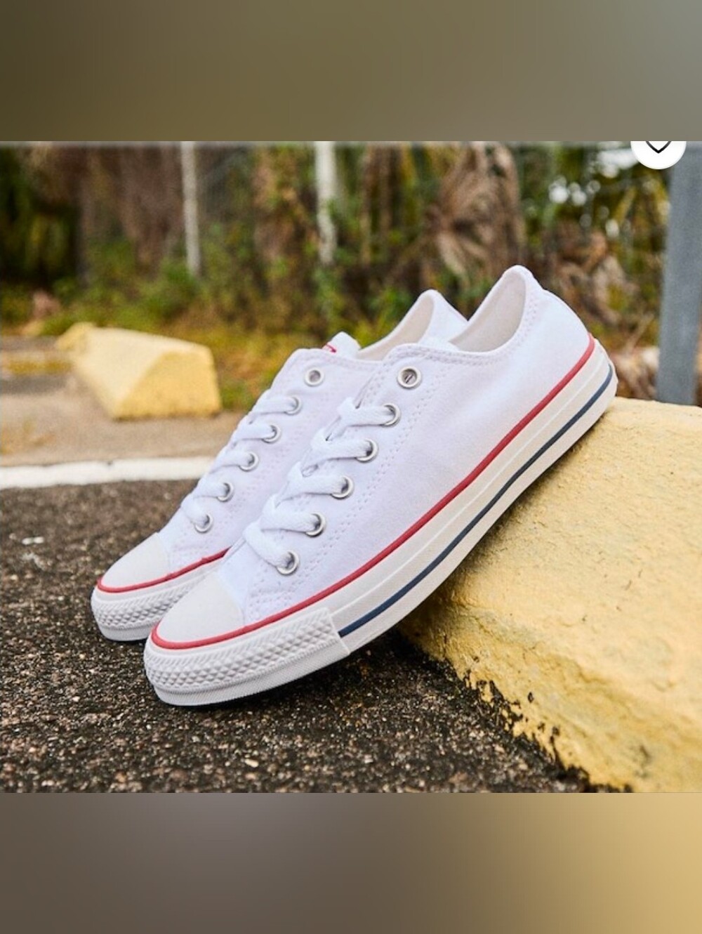 Classic White Low-Top Canvas Sneakers